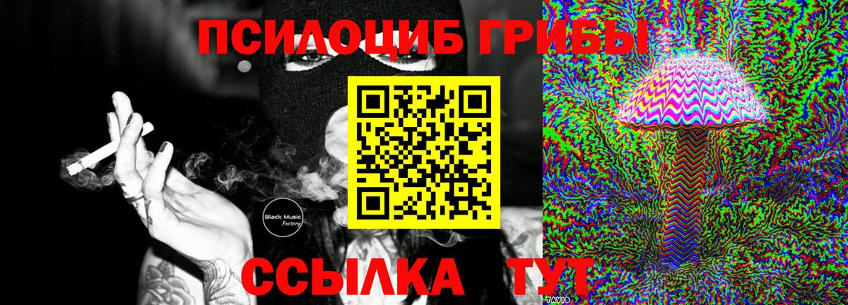Саянск  Псилоцибиновые грибы мицелий  Вход с VPN 