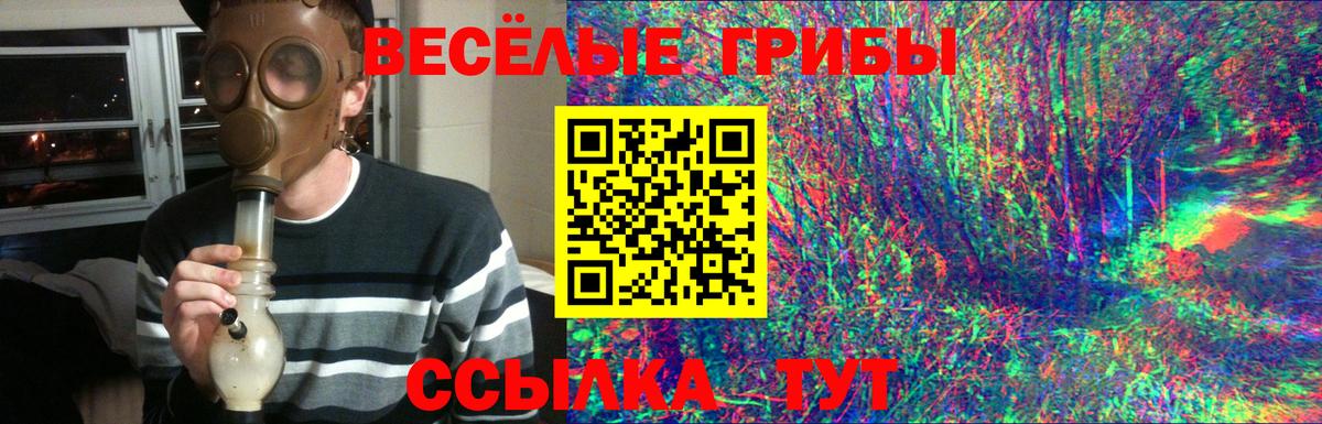 Псилоцибиновые грибы мицелий Саянск